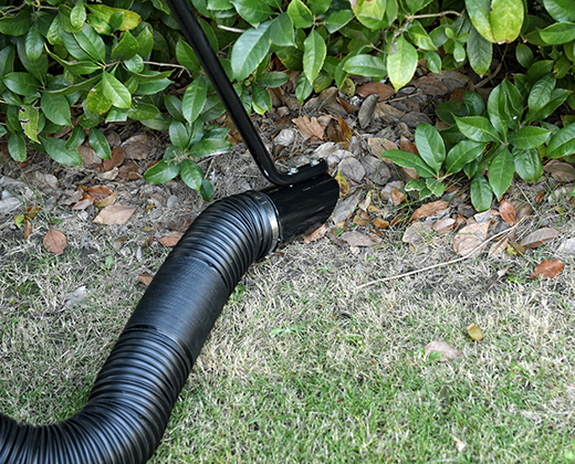 bestleafvacuumcleanerforhomeuse.jpg