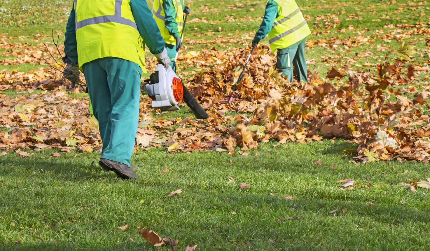 howtochoosetherightleafvacuumcleanerforprofessionallandscapingandlargescaleoutdoormaintenance.jpg